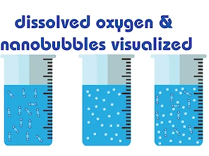 dissolved oxygen and nanobubbles visualized