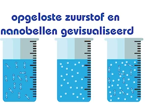 opgeloste zuurstof en nanobubbels gevisualiseerd