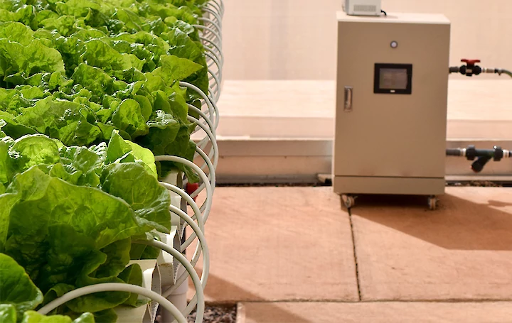 AgriGaLF نصب شده در گلخانه