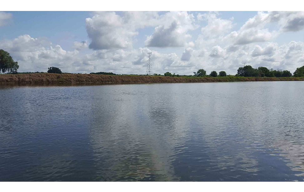 Waterbehandeling van een meer met nano bubbles (na behandeling)