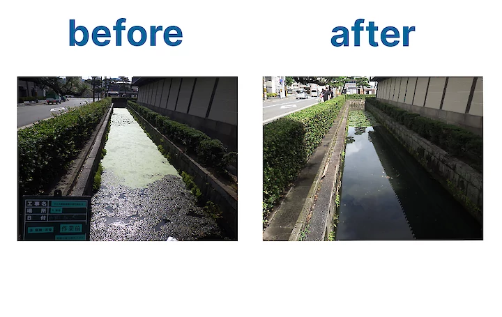 Algal Bloom moat cleaning before and after